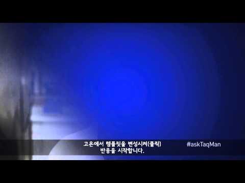 Taqman이 작용하는 방법 - Ask TaqMan #13
