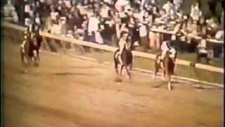 &quot;SECRETARIAT&quot; Greatest Race Horse of All Time - Kentucky Derby Preakness Belmont Stakes 1973 Video