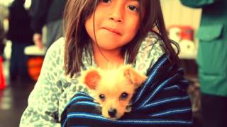 14 Years Ago We Noticed a Problem