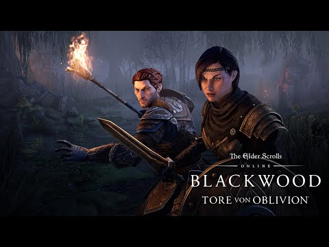The Elder Scrolls Online: Alles über Gefährten, Portale und das Antiquitätensystem