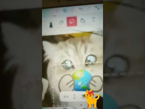 idk to name it....  :/ #flipaclip #cats