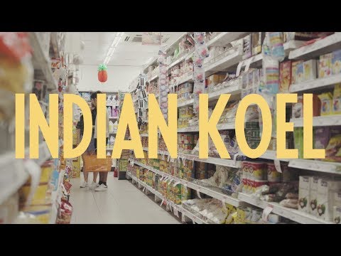 BIRDIES: Indian Koel | Episode 3