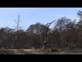 Strabrechtse heide na de brand
