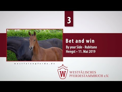 03 Bet and win  Hengst v. By your Side - Rubitano