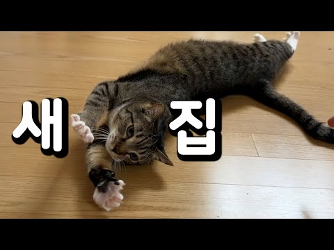 춘봉첨지가 사다준 집 소개시켜드립니다