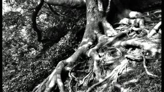 Raining in Baltimore