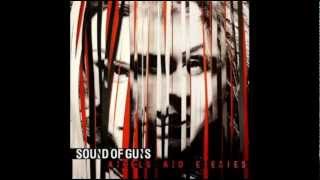 Sound of Guns - Antartica