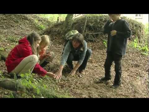 Rolfscher Hof in Detmold