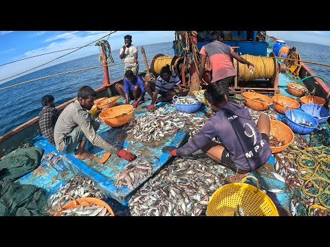 Amazing Gill Net Fishing Line Catch Hundreds Tons of Fish | @FISH_TV