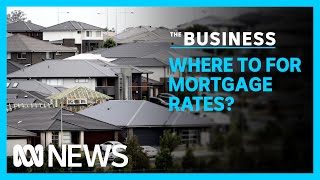 RBA holds interest rates at record low, but scales back stimulus | The Business