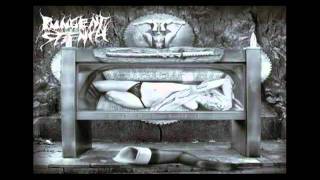 Pungent Stench // Ampeauty // Amp Hymn