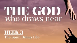 The Spirit Brings Life