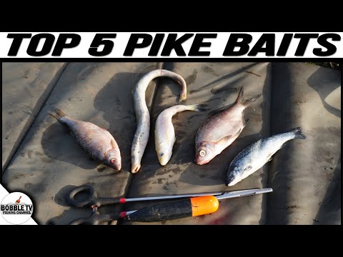 Top 5 Pike Fishing DeadBaits!🐟