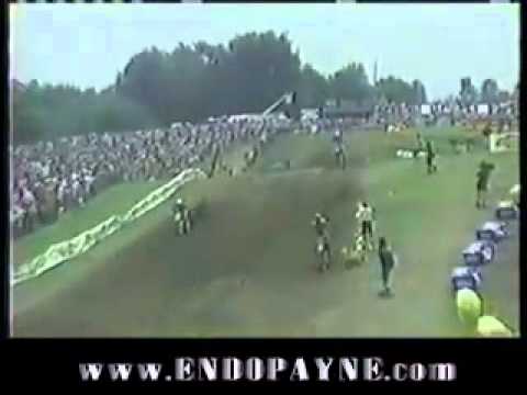 James Stewart vs Reed