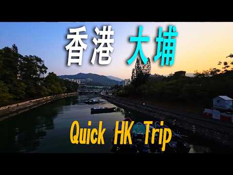 快遊香港，全港第二大行政區域，大埔區，環境十分優美。全球第 90 個「安全社區」。乘坐地鐵過海到港島，夜幕下的維港十分漂亮。海邊一直有人在跑步。金紫荊廣場許多内地游客。