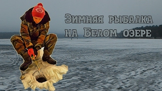 Ссылка