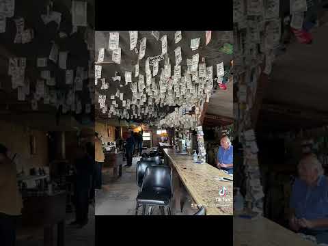 The Plywood Palace Video Review