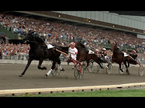TV-sändningen med V65 och Elitloppet på Solvalla 1984.