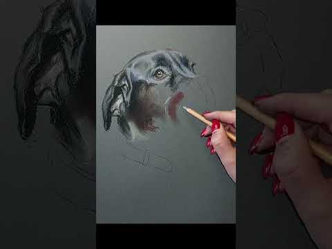 Proces   my pastels 