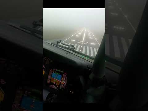 Boeing 737 Heavy Fog Landing! | Daily dose of aviation #aviation #shorts