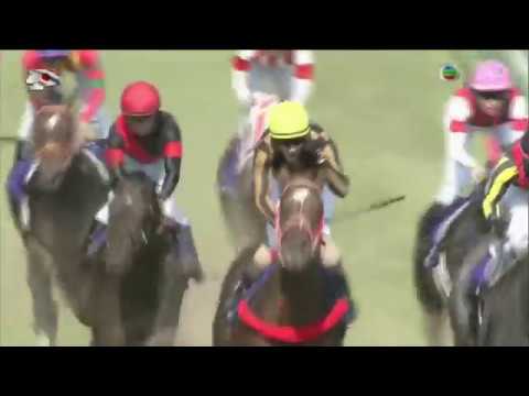 2018 Yasuda Kinen G1 - Mozu Ascot (魔族雅谷) - C.Lemaire