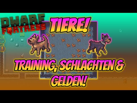 Training, slaughtering & gelding animals! - Dwarf Fortress Quick Tips