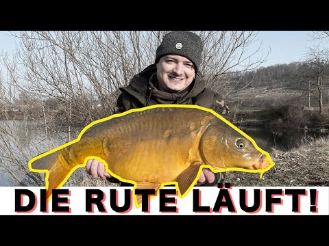 Spring 🌳 day session 🎣 with Camo Günni - Carp fishing in Franconia