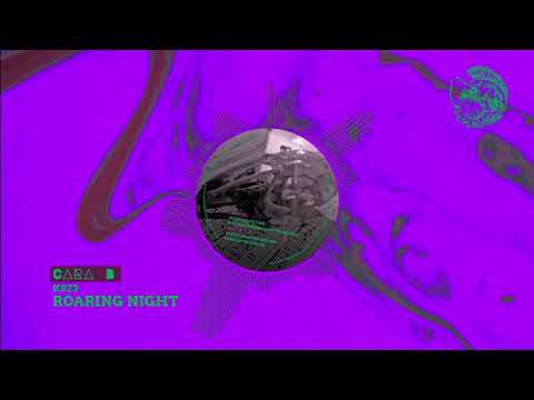 B1- KS23/ Roaring night ((ABSL02V)Abisal Records