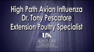 Kentucky High Path Avian Influenza Poultry Restrictions