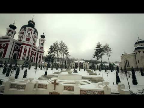 Victor Bondari - Sculati gospodari sculati