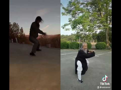 Wudang Zhang San Feng Taiji gives rise to Vo Dang Thai Cuc Quyen