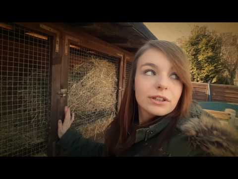 Meine Kaninchen und ihre Haltung #54 [Danke & Bauprojekt]