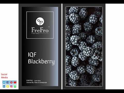 Frozen berries natural frefro iqf blackberry, packaging size...
