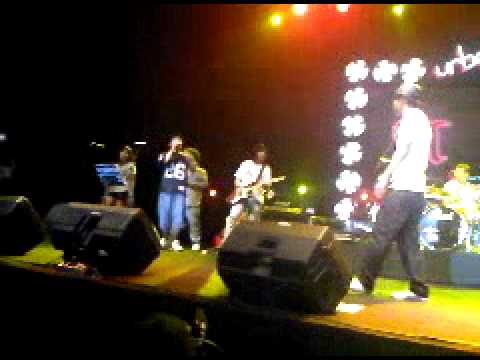 Boyz Got No Brain - Nyamuk