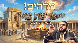 💥כלל מדהים! פרשת השבוע צו שבת הגדול | הרב עובדיה נחמן דרעי