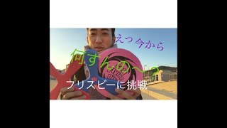 「検証結果」今回はセリアの商品のフリスビーとブーメラン……こんな事があるなんて