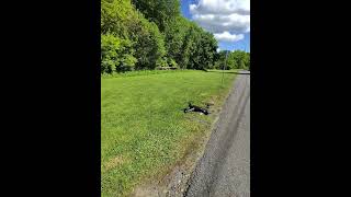 DM007 nighthawk JUMPER T8SG 10 year old drone TRUE RC REVIEW #drone