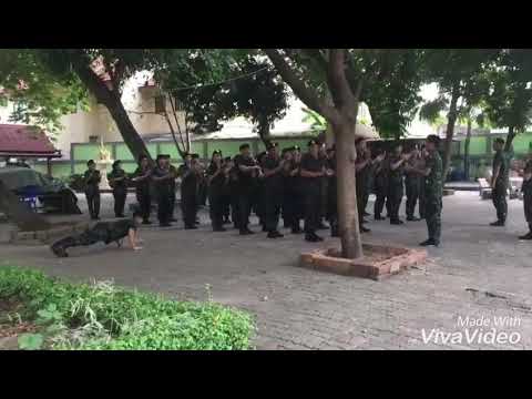 เพื่อนกันตลอดไป