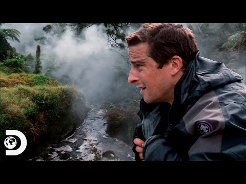 Un lugar lleno de agua hirviendo se atraviesa en el camino de Bear | A Prueba De Todo