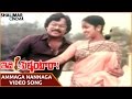 Idi Pellantara Movie Ammaga Nannaga Video Song Chiranjeevi Raadhika Shalimarcinema