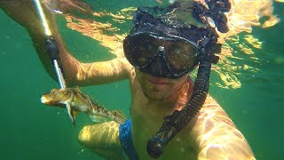 Подводная рыбалка у берега моря