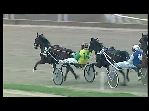 Napoli Trotto 12/02/2021 - 3ª corsa