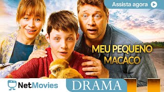Meu Pequeno