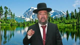 פרשת פינחס – צוואות וירושות