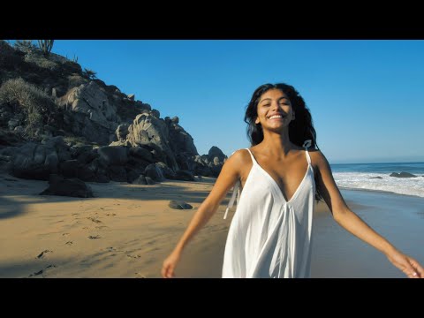 Videoclip de Barefoot On The Beach — Michael Franks