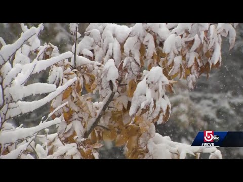 October winter storm brings power outages to Massachusetts