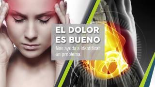 PPROGRAMA DOLOR 2017