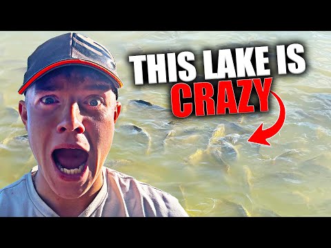 Fishing the UK’s MOST SOLID Commercial!