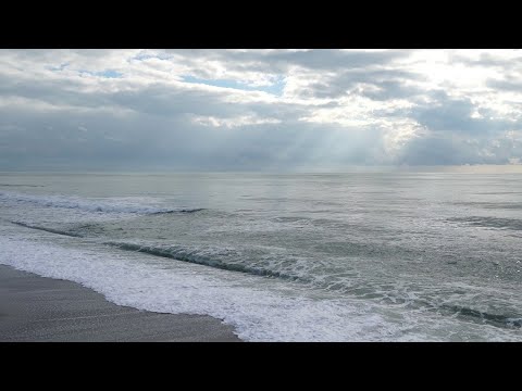 Left behind - Riya ft. Nymfo & ZeroZero