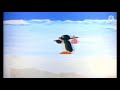 Pingu Original Intro 1998